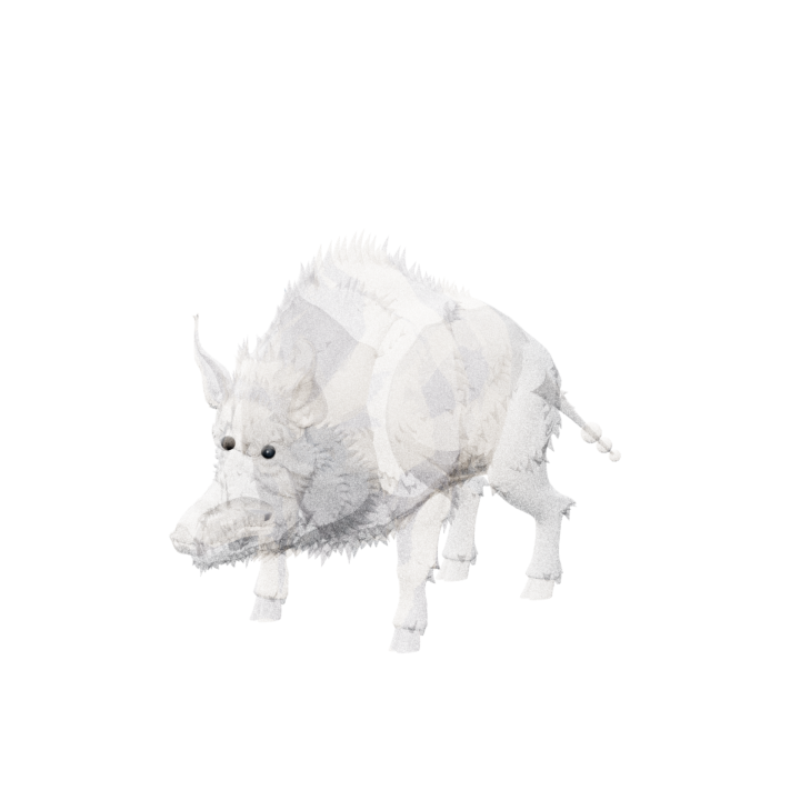 Baby Boar enemy model