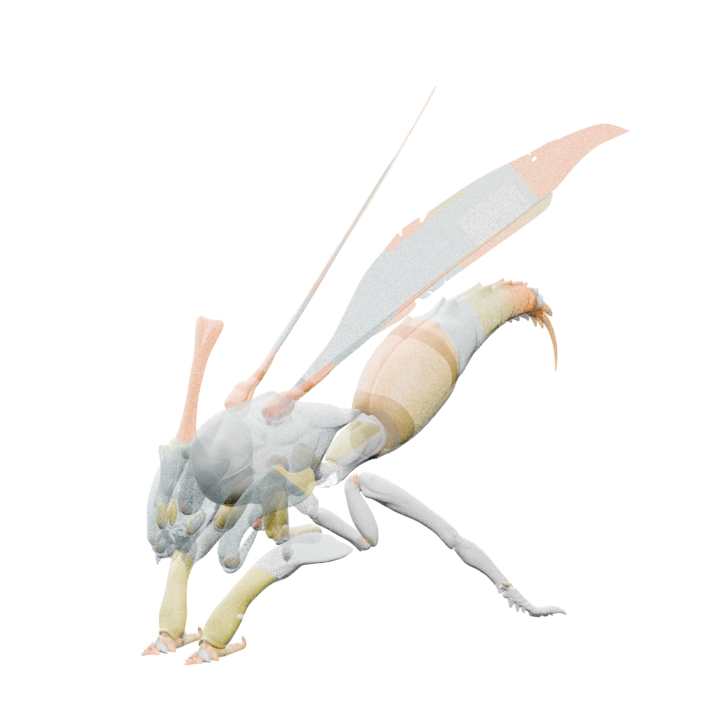 Wobbling Wasp enemy model
