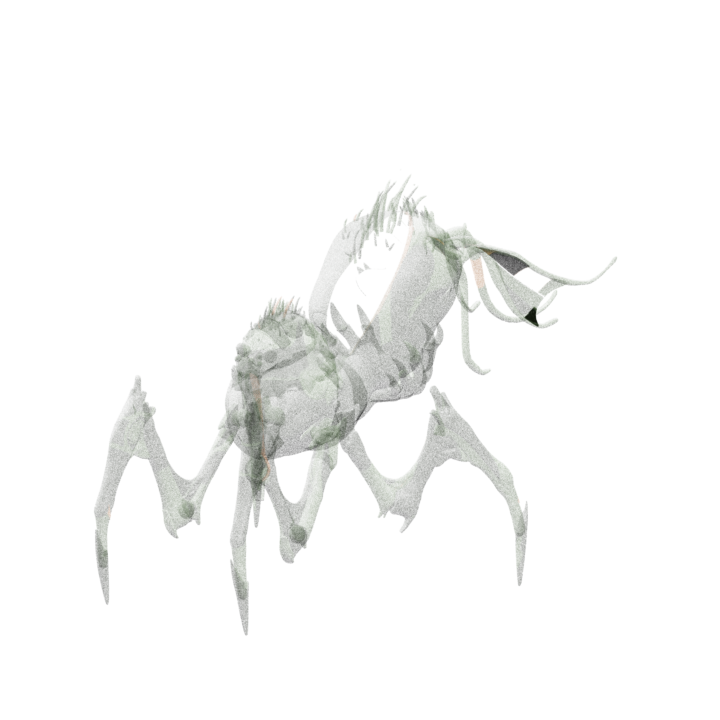 Thicket Spider enemy model