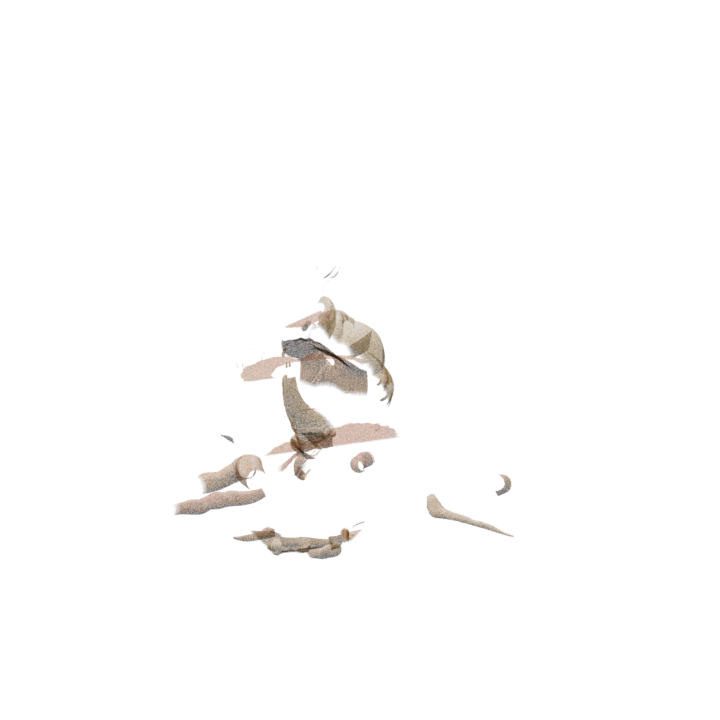 Seeding Nepenthes enemy model